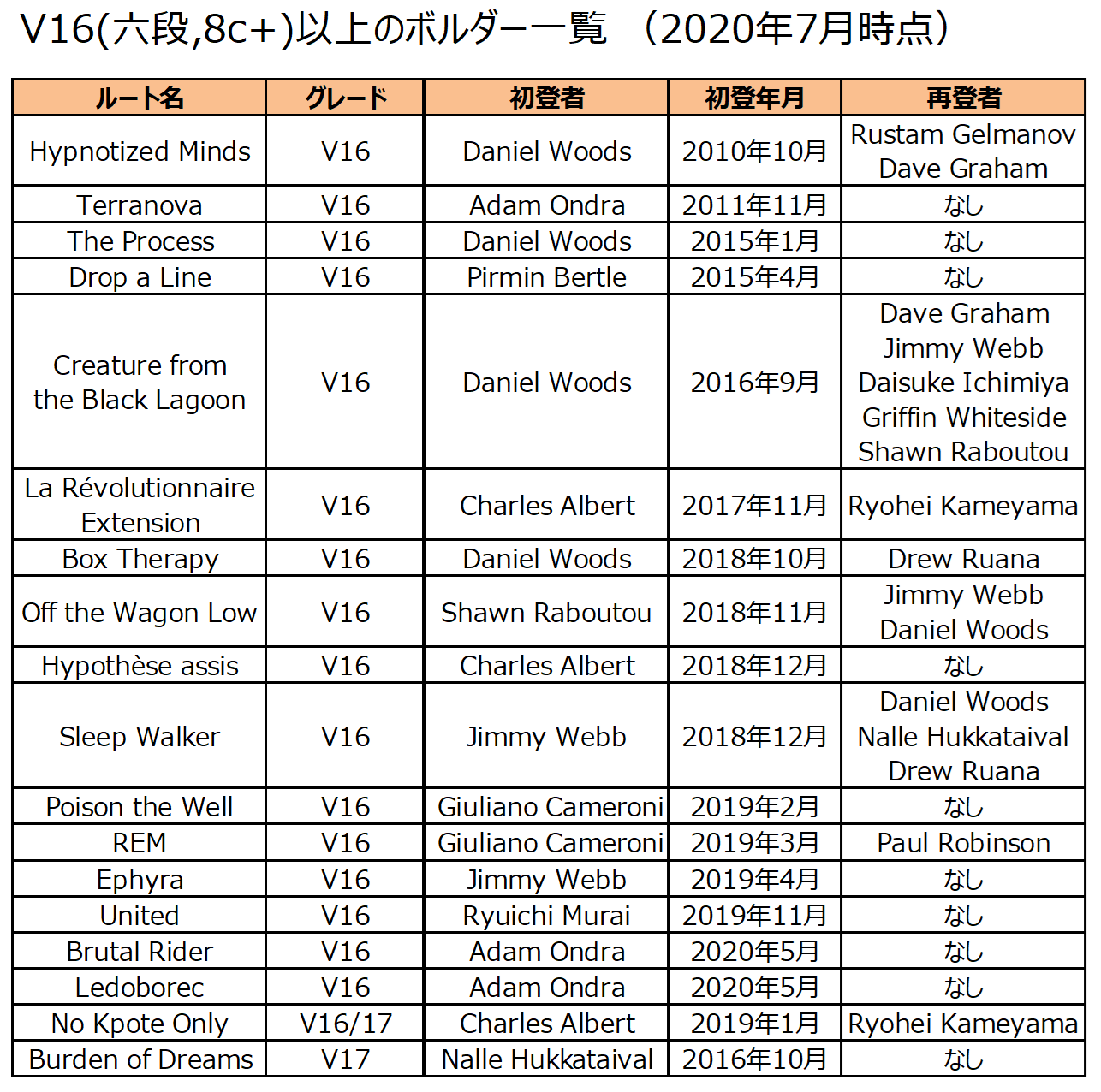 kosukesendo　うんていタイプC  階段追加　全面ボルダリング kosukesendo様 専用 うんていタイプC 階段追加 全面ボルダリング
