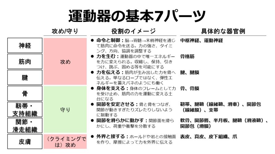運動器：運動を実現する7つの基本パーツ