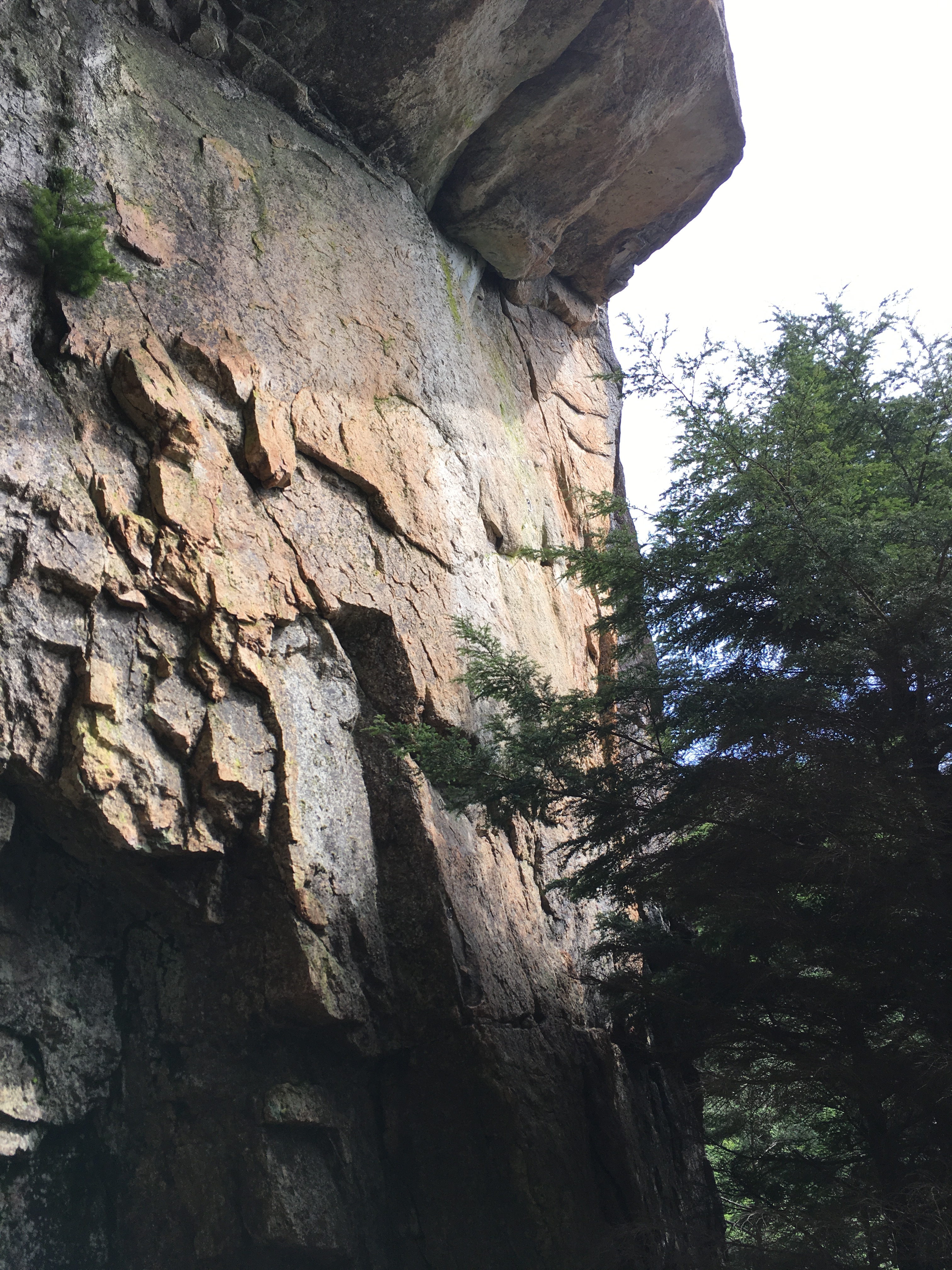 瑞牆で簡単なマルチ継続登攀、アレアレア1P目、アプリオリ
